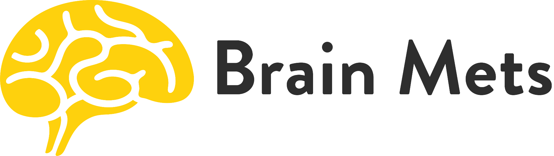 BRAIN METS 2026 – 13th Brain Metastases Conference